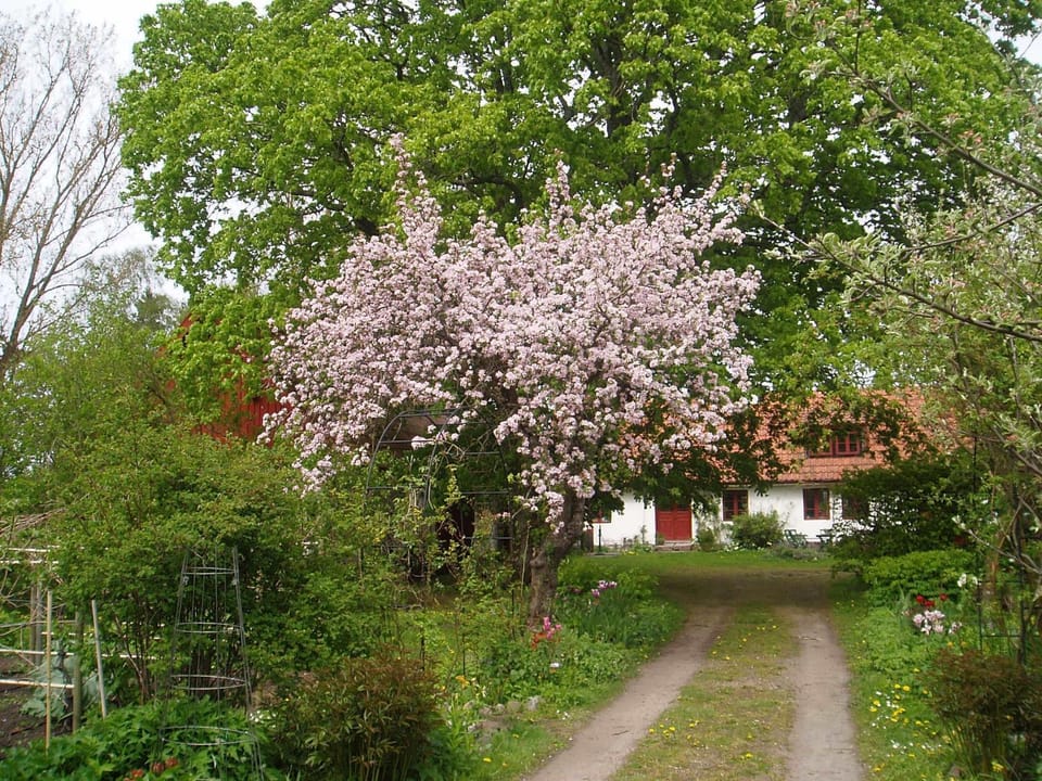 Facade/entrance, Day, Summer, Garden