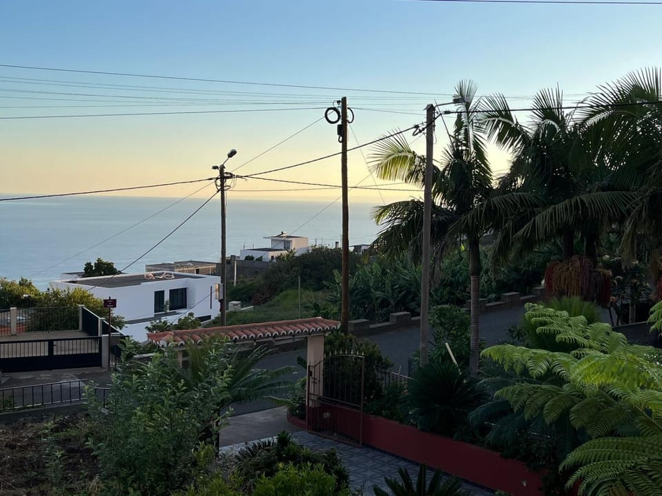 Natural landscape, Garden, Garden view, Sea view, Sunset