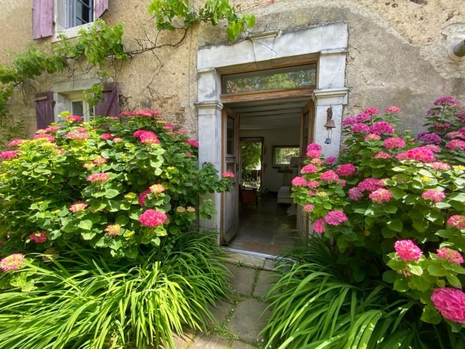 Maison D'hôtes-Maison Castaings Bed and Breakfast in Nouvelle-Aquitaine