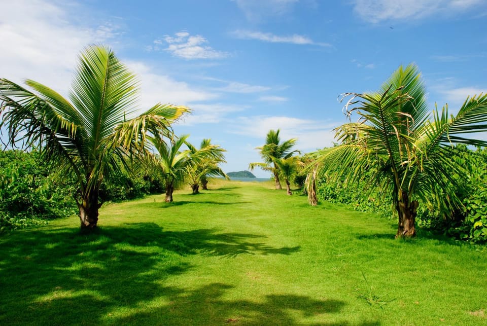 Day, Natural landscape