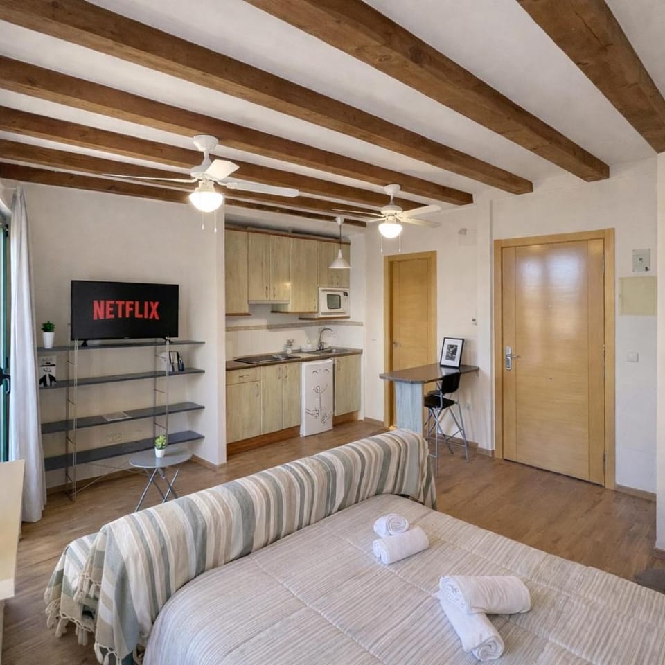 Apartamento en Plaza Mayor de Segovia Apartment in Segovia