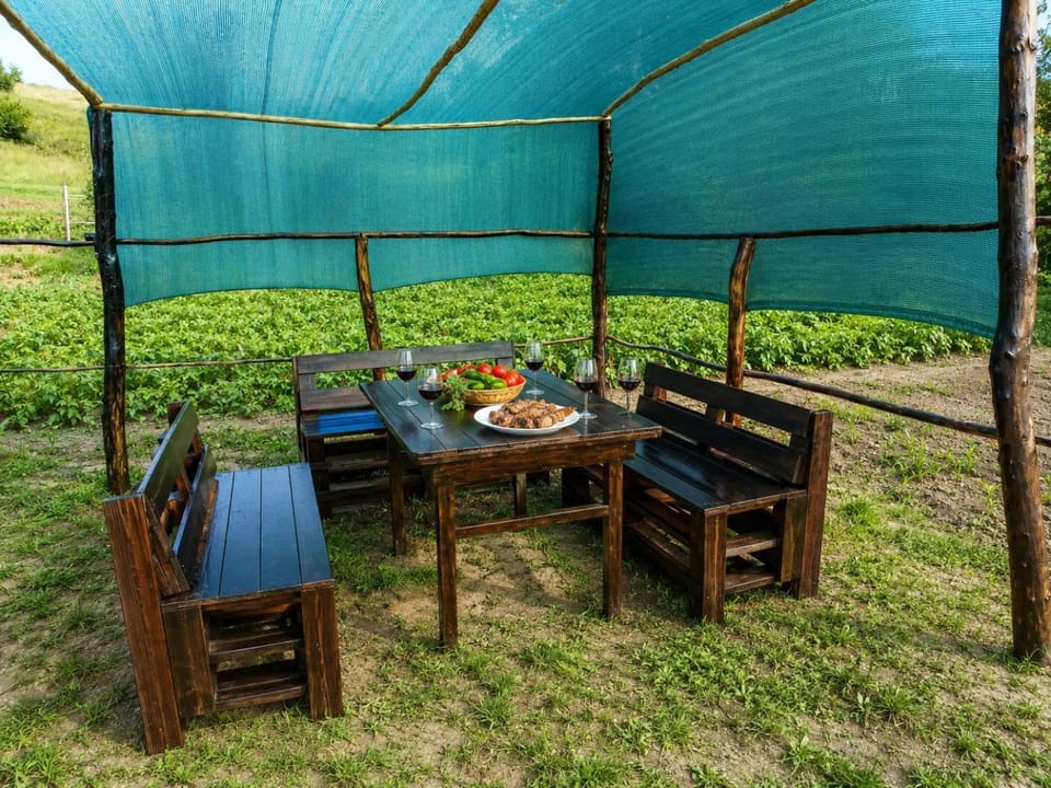 Garden, Dining area