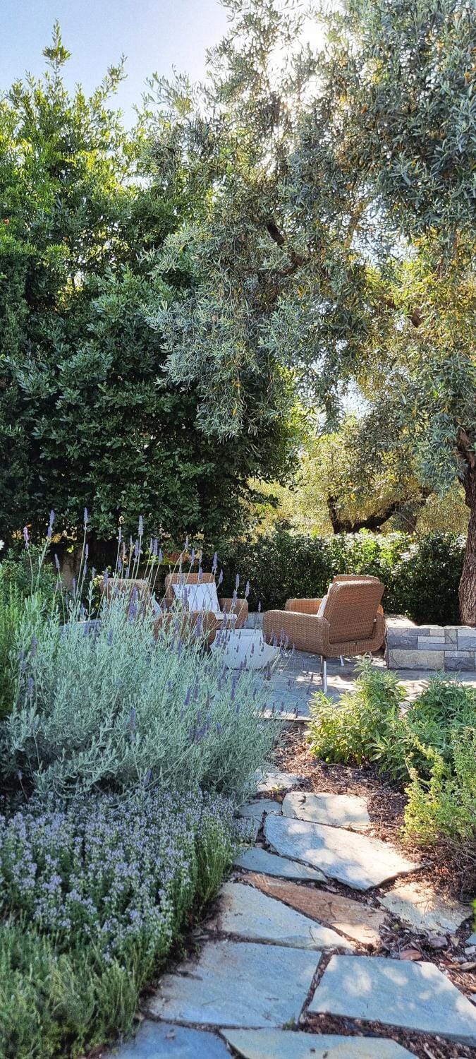 Garden view