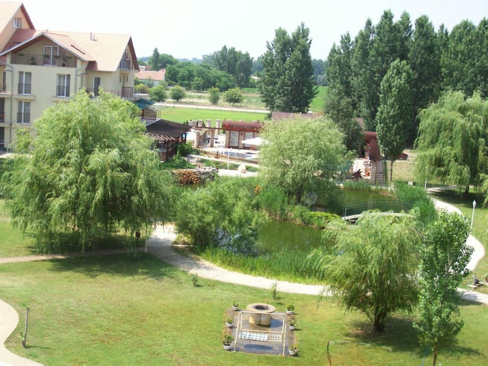 Lake view