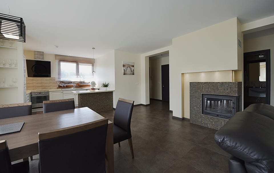 Kitchen or kitchenette, Living room, Dining area, stove