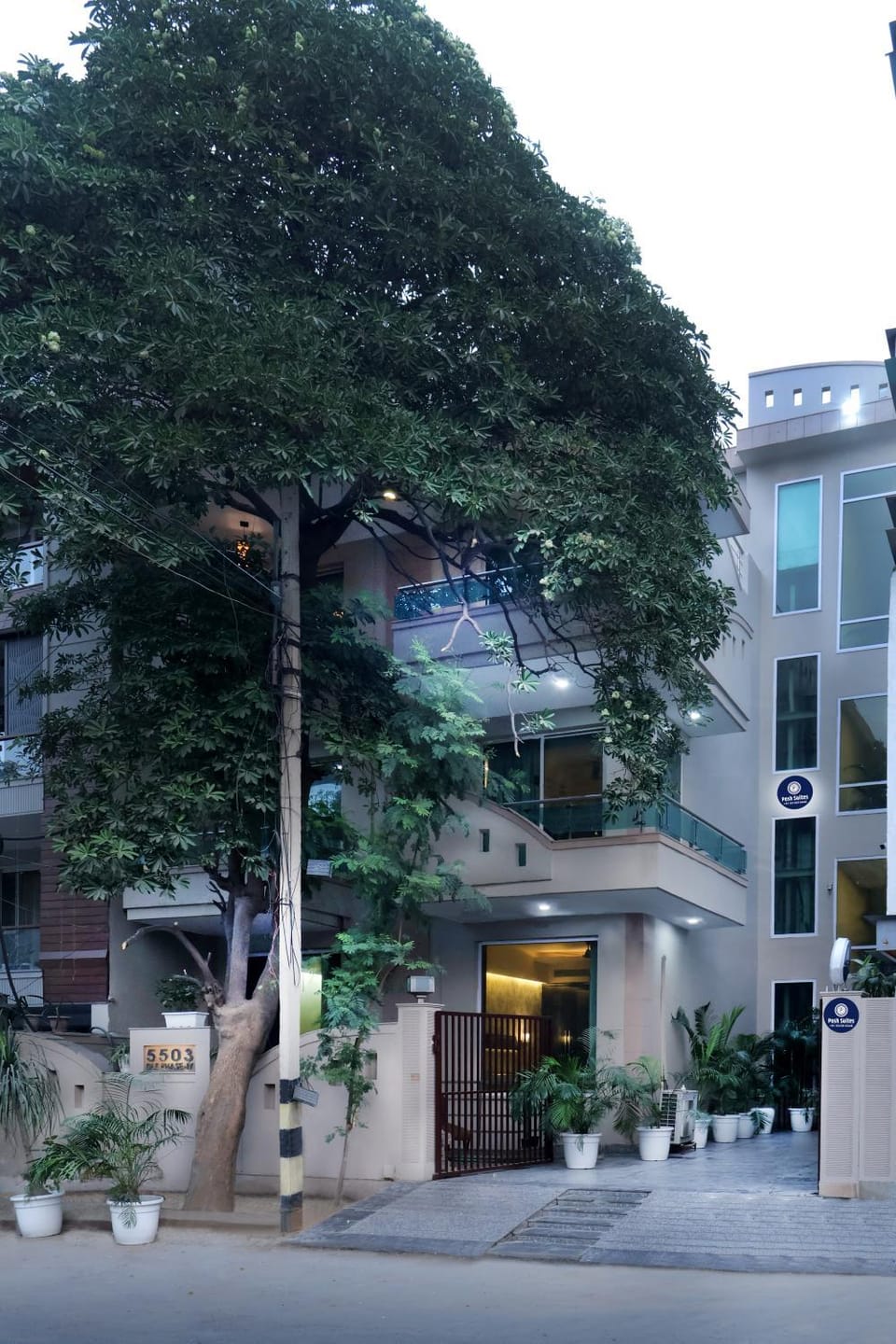 Property building