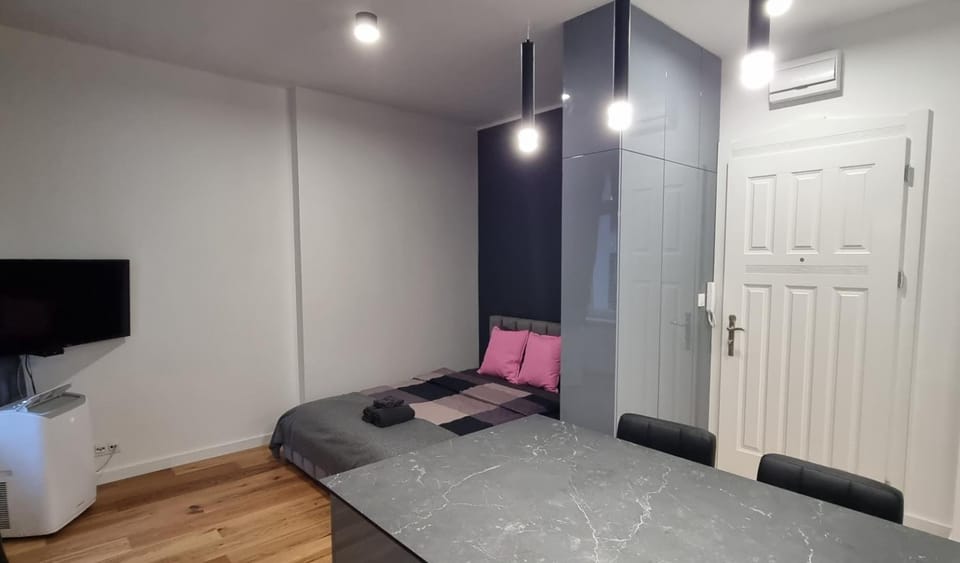 Apartament Vilda 2 Apartment in Poznan