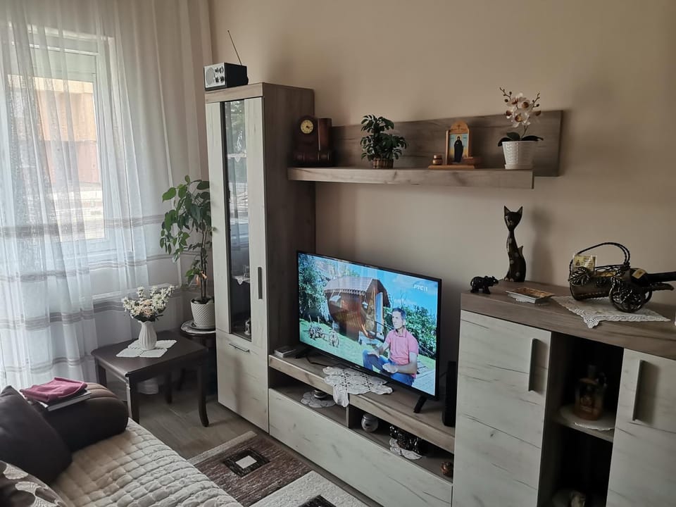 Communal lounge/ TV room, TV and multimedia