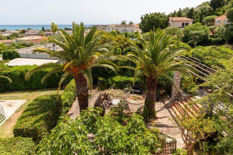 Natural landscape, Garden