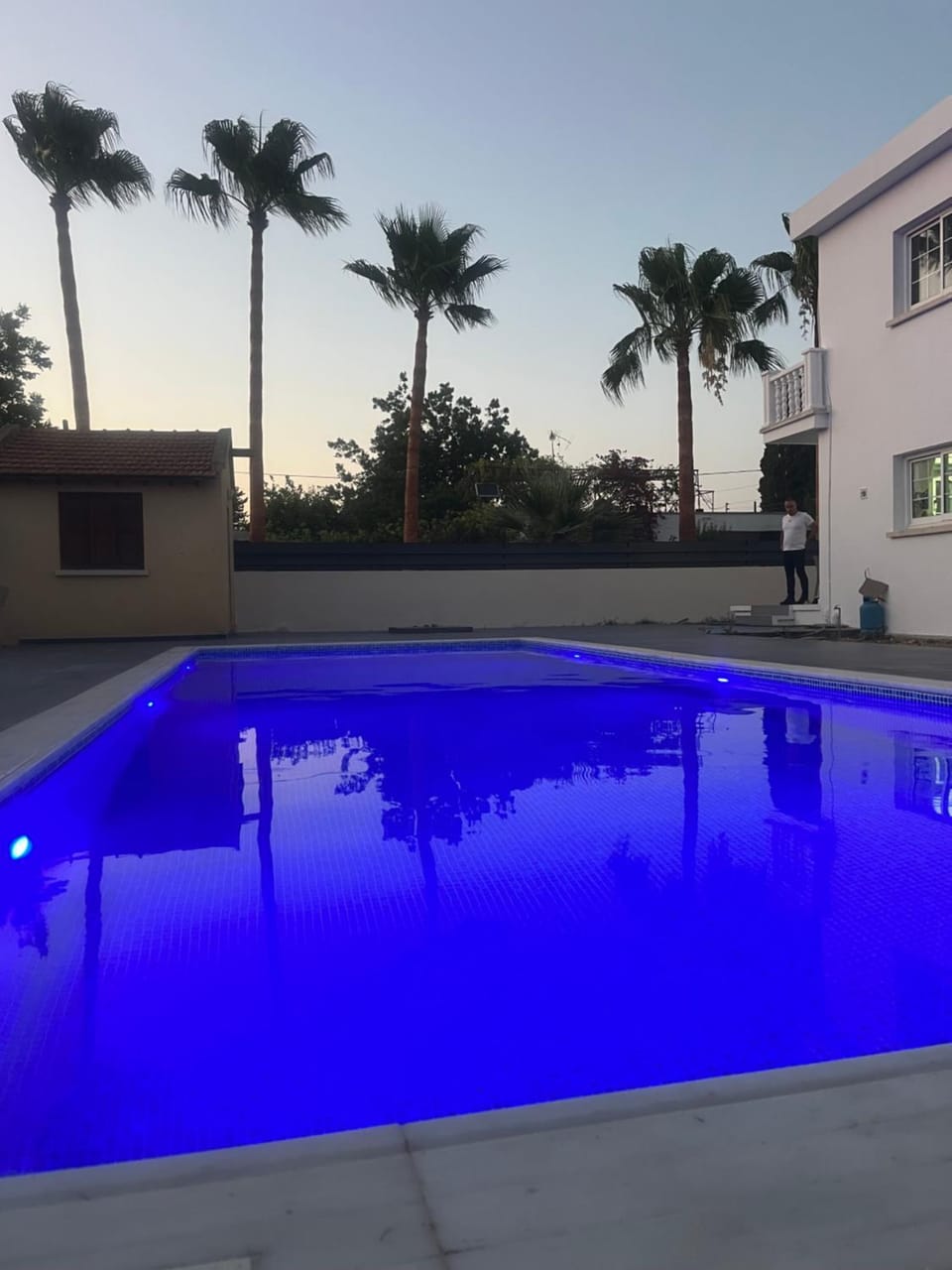 Palm Villa Villa in Cyprus