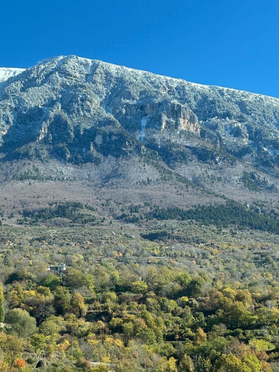 Bujtina Sakollari Bed and Breakfast in Vlorë County, Albania