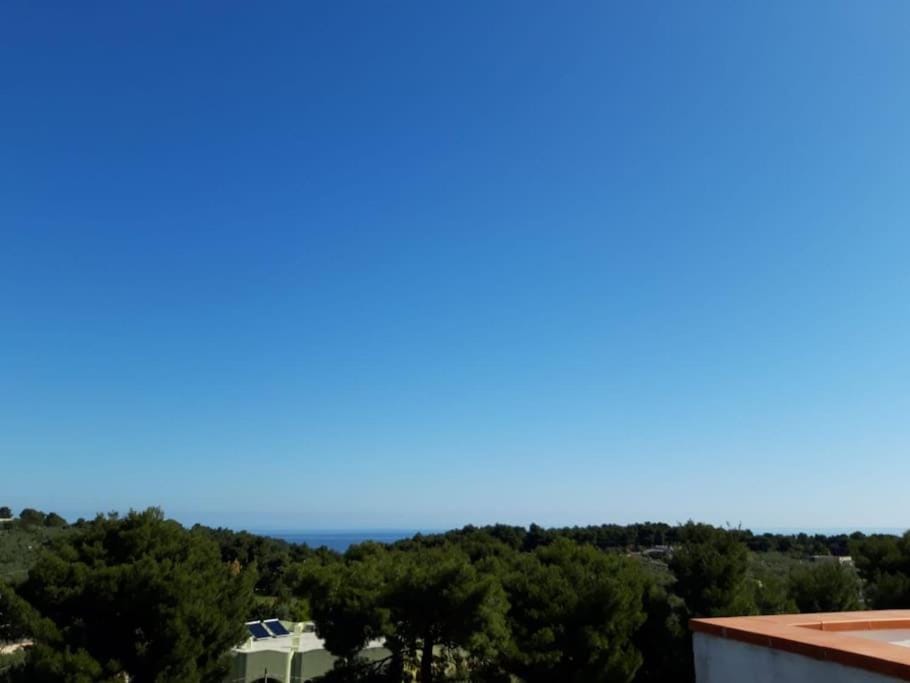 Melograno 2 Apartment in Province of Foggia