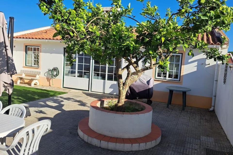 Casa Melides perto Comporta House in Setubal District