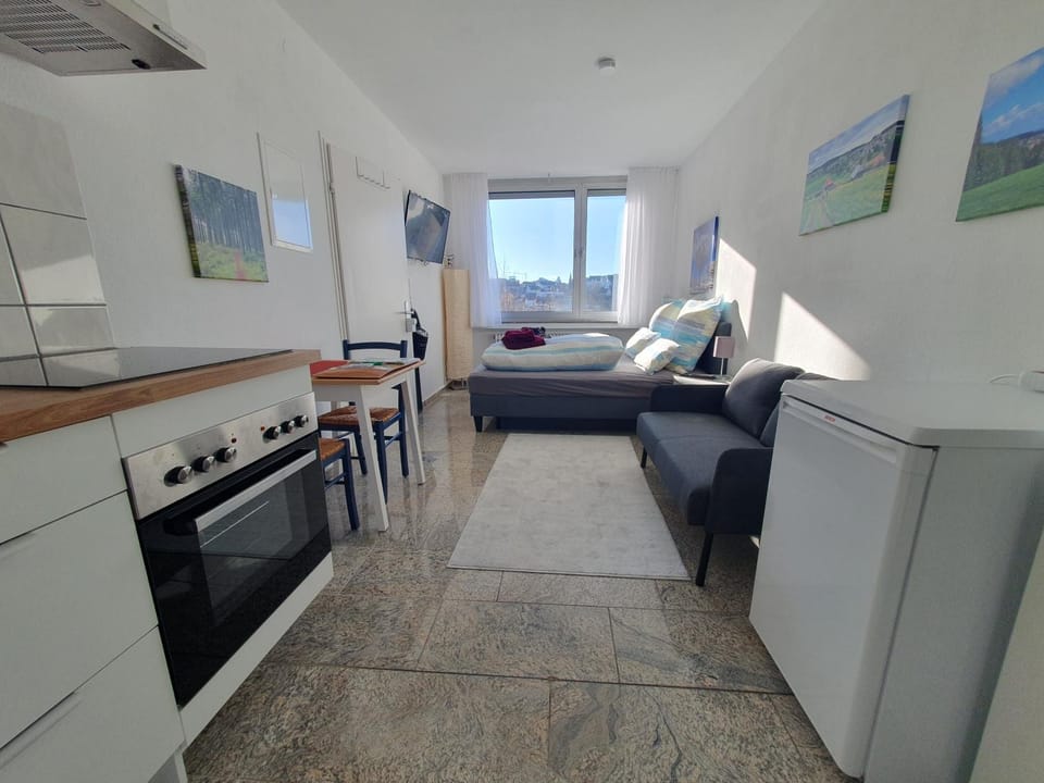 TV and multimedia, Kitchen or kitchenette, Seating area, Dining area, minibar, pet friendly, stove