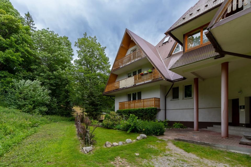 Property building, Neighbourhood, Summer, Garden, Location