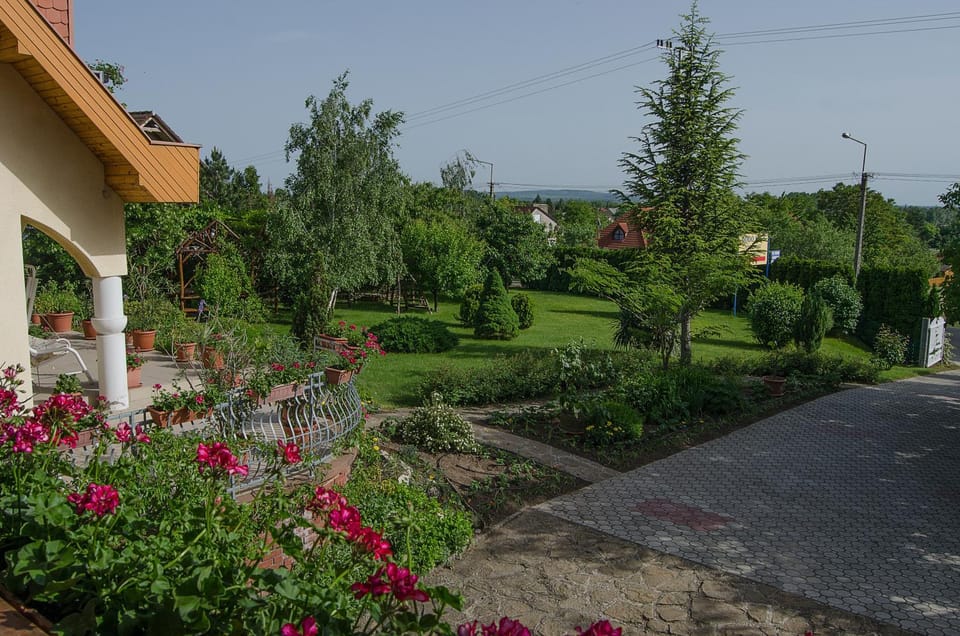 View (from property/room)