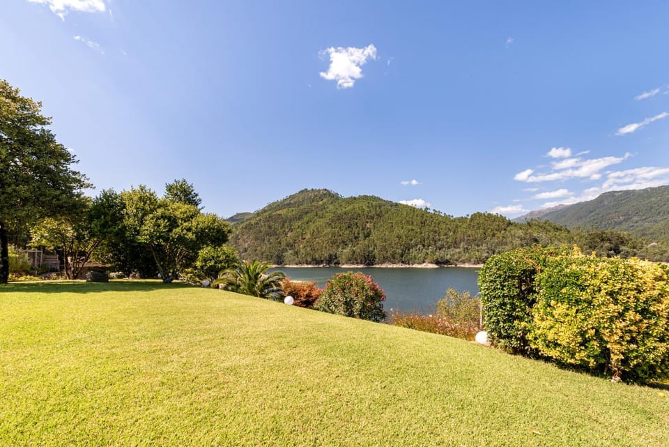 Patio, Garden, Garden view