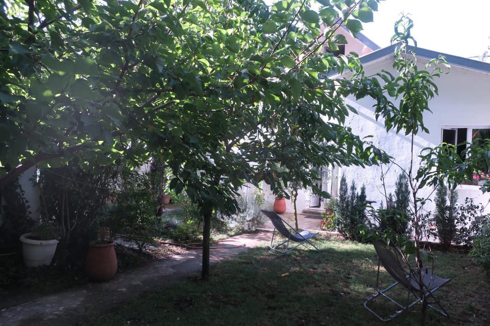 Property building, Garden, Garden view