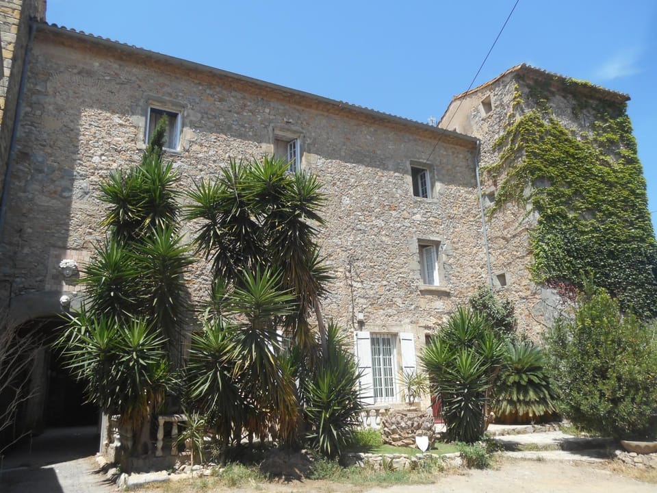 Château-donjon du XIe siècle Logis de La Meschaussée Vacation rental in Occitanie