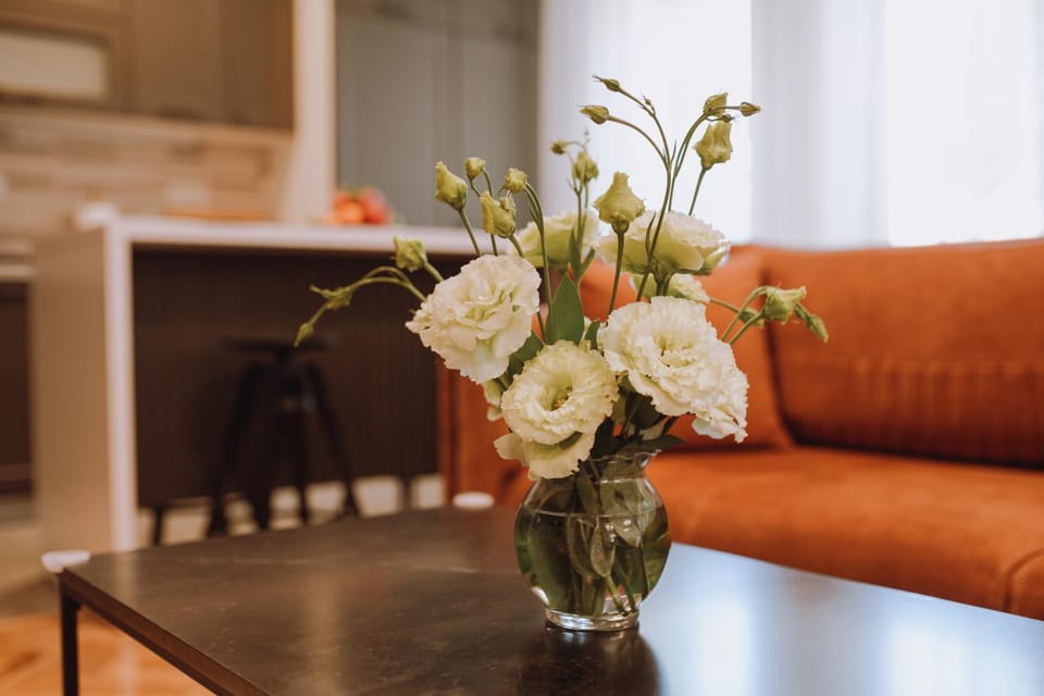 Apartman K29 Apartment in Vojvodina