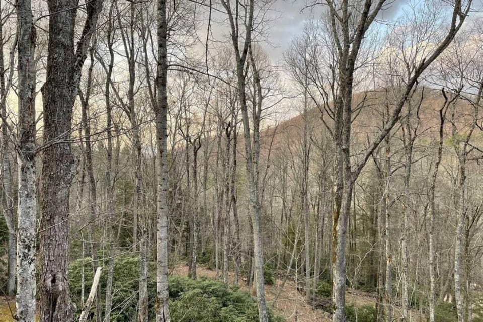 Sprawling Blowing Rock Escape with Theater and Hot Tub House in Watauga