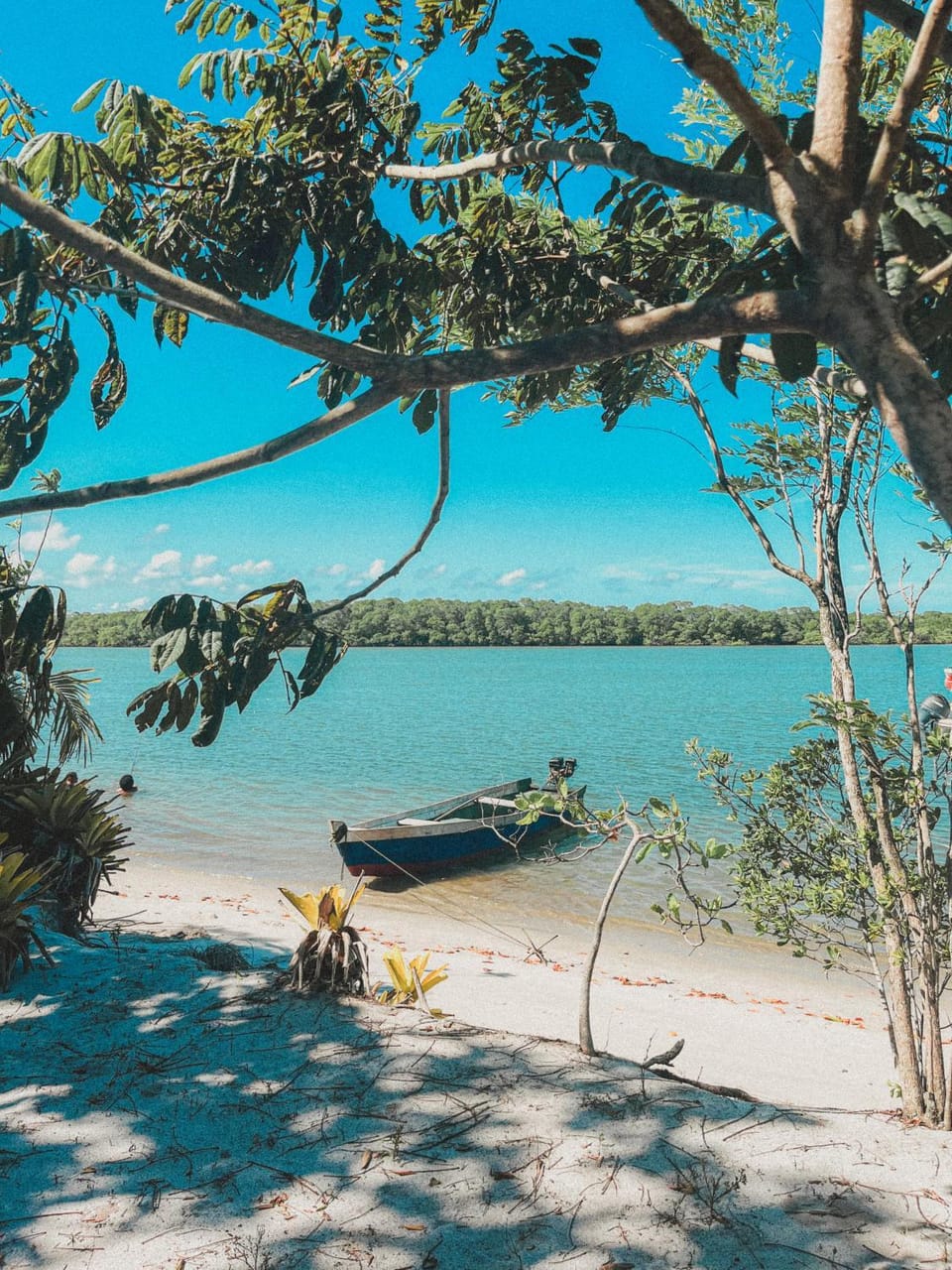 Beach