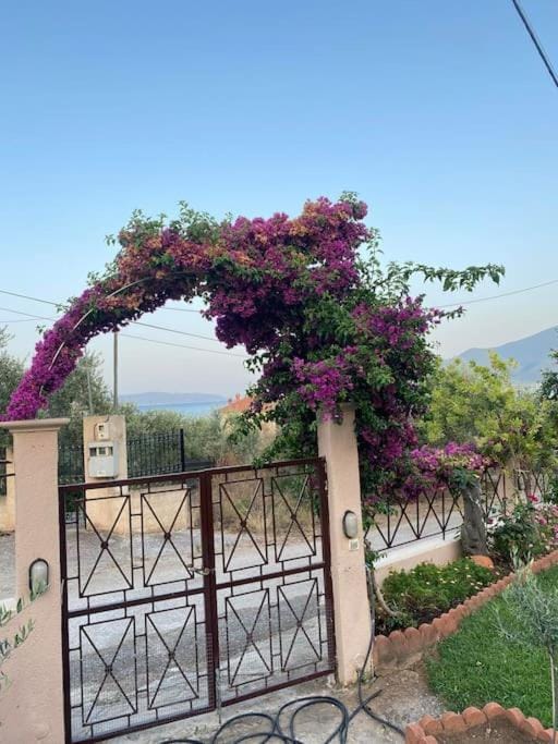 Garden, Garden, Garden view, Mountain view