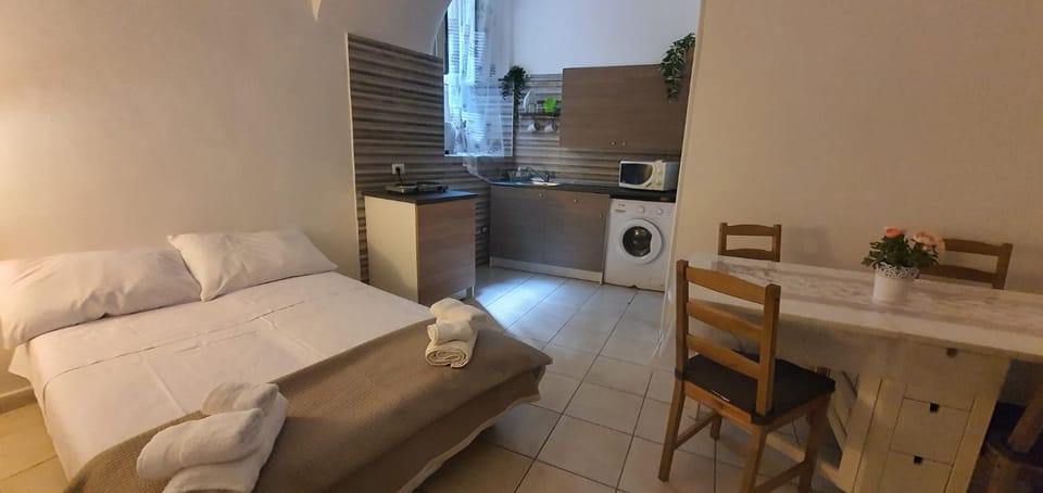 Bed, Living room, minibar, stove, washing machine, kitchen, air conditioner