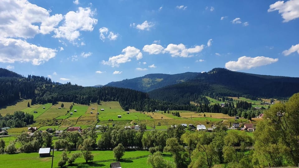 Natural landscape