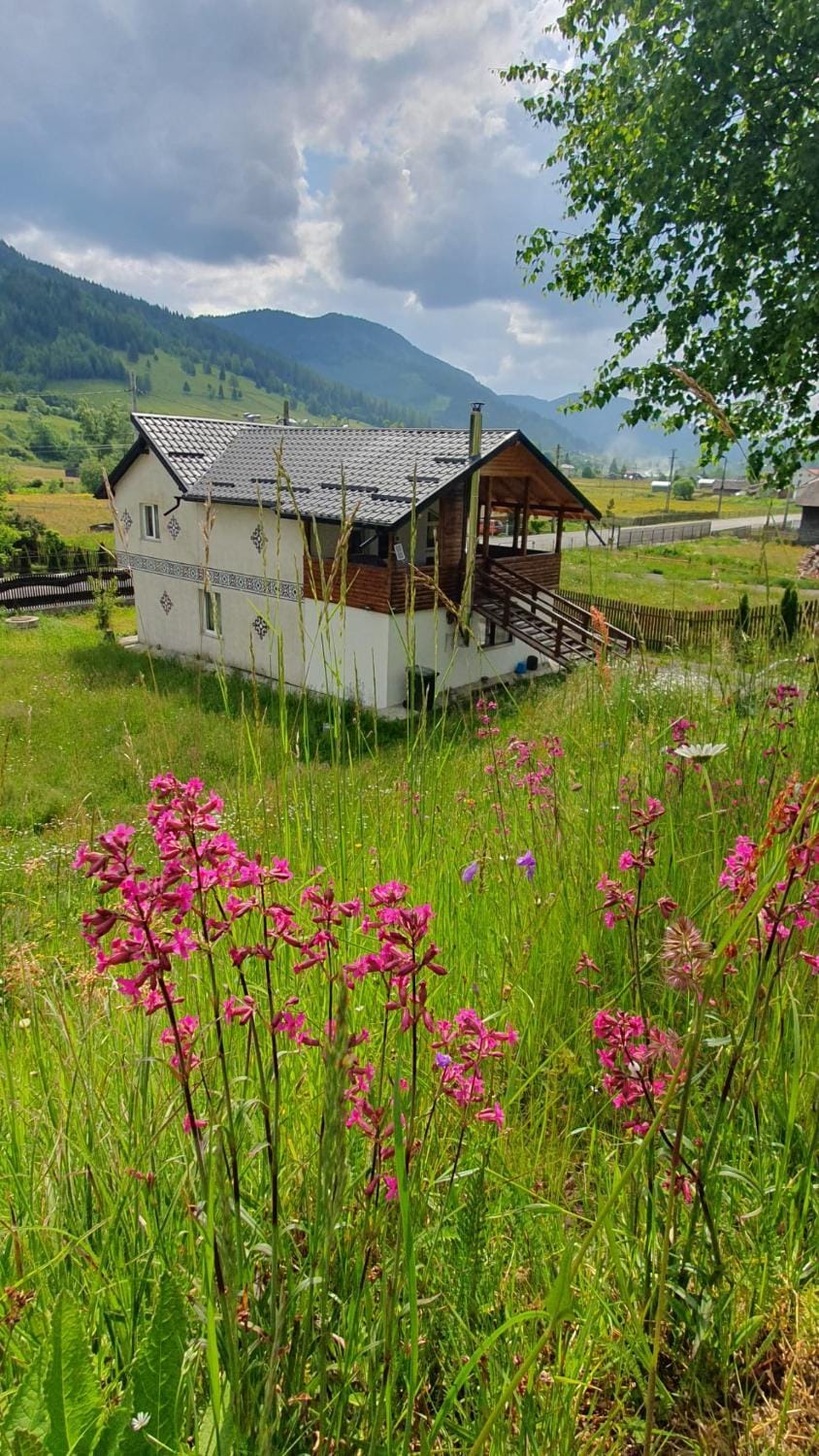 Casa Viorica -Botoș House in Romania