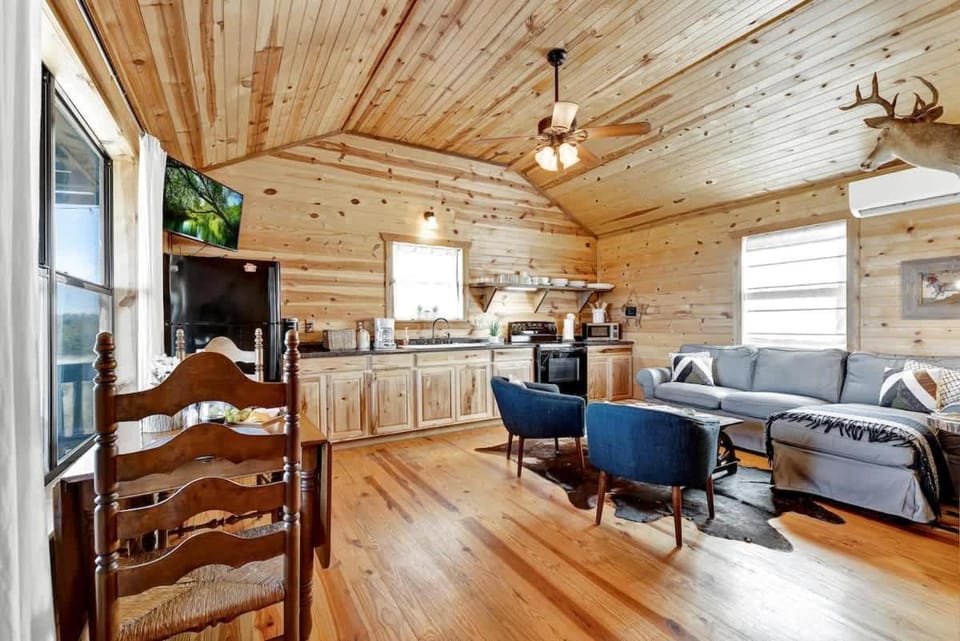 Kitchen or kitchenette, kitchen