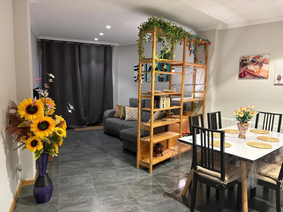 Dena-Sol Apartment in O Salnés