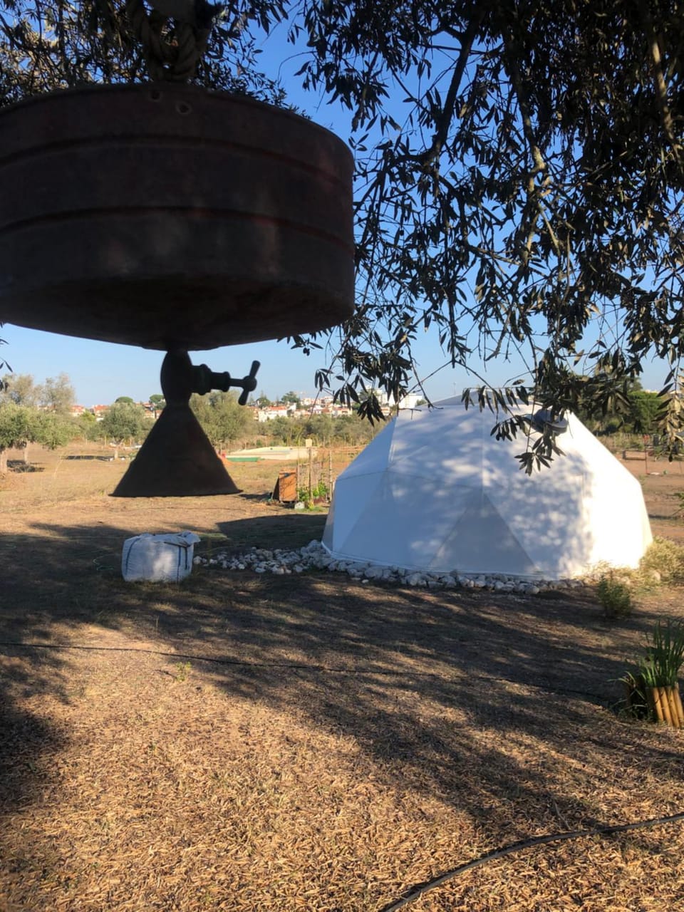 Forest Domes Luxury tent in Palmela