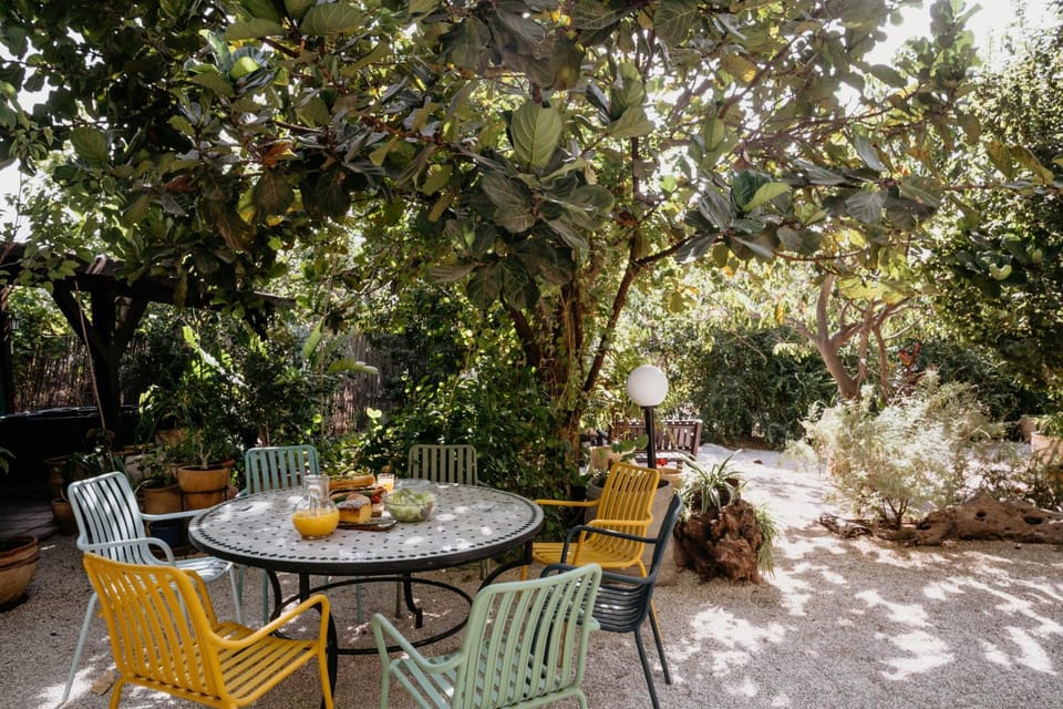 Patio, Garden, Garden view