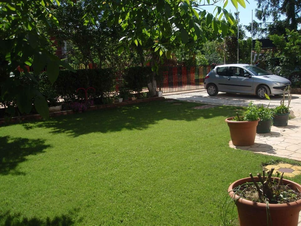 Summer, Garden