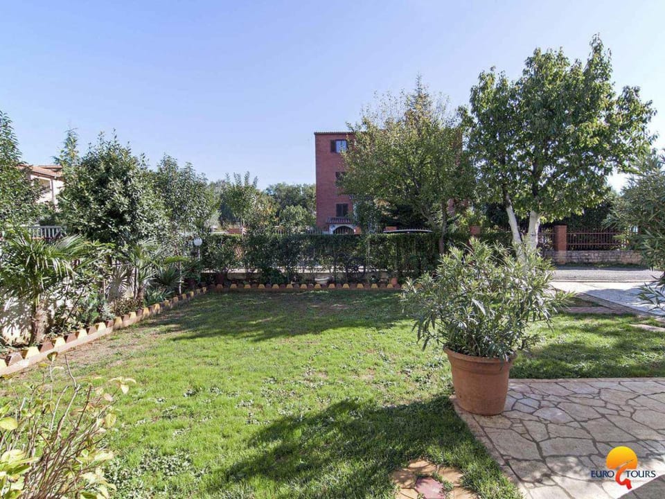 Property building, Summer, Garden