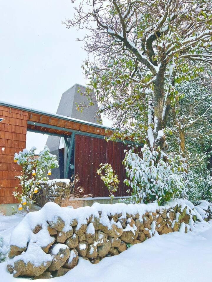 Property building, Winter
