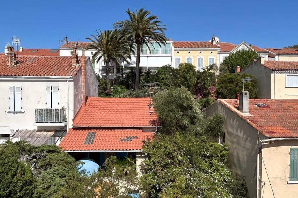 City view, Garden view