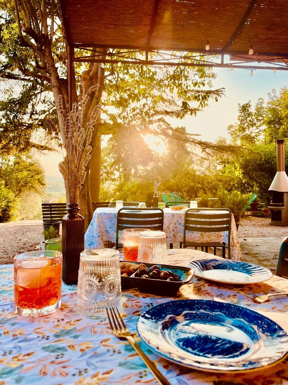 Garden, Food, Sunset