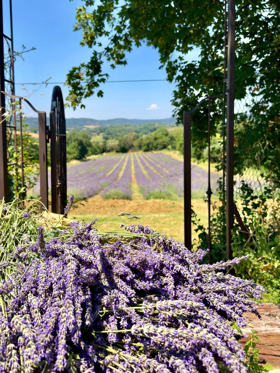 Off site, Garden, Garden view