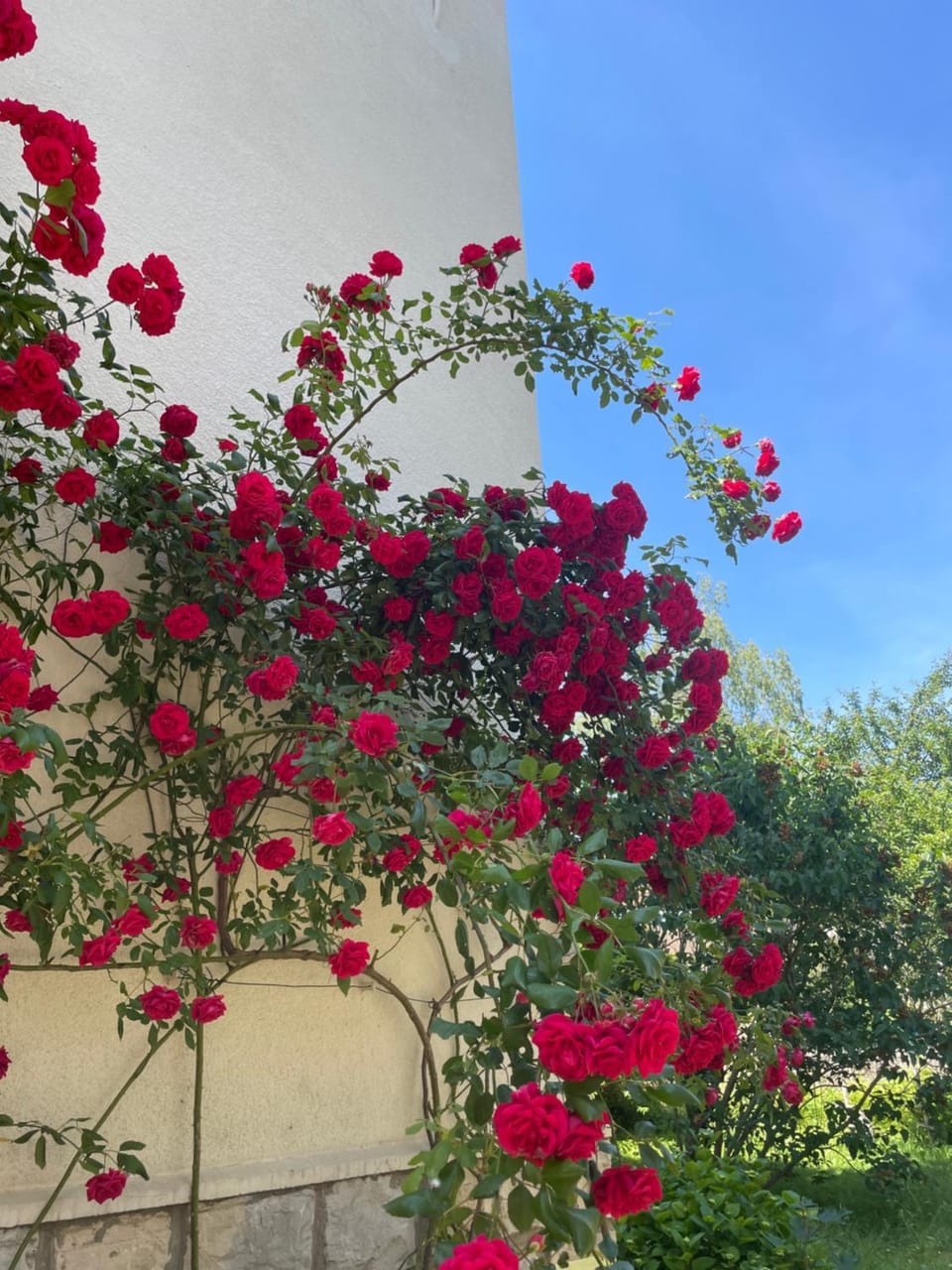 Chambre privée proche centre et gare 3 Bed and Breakfast in Besançon