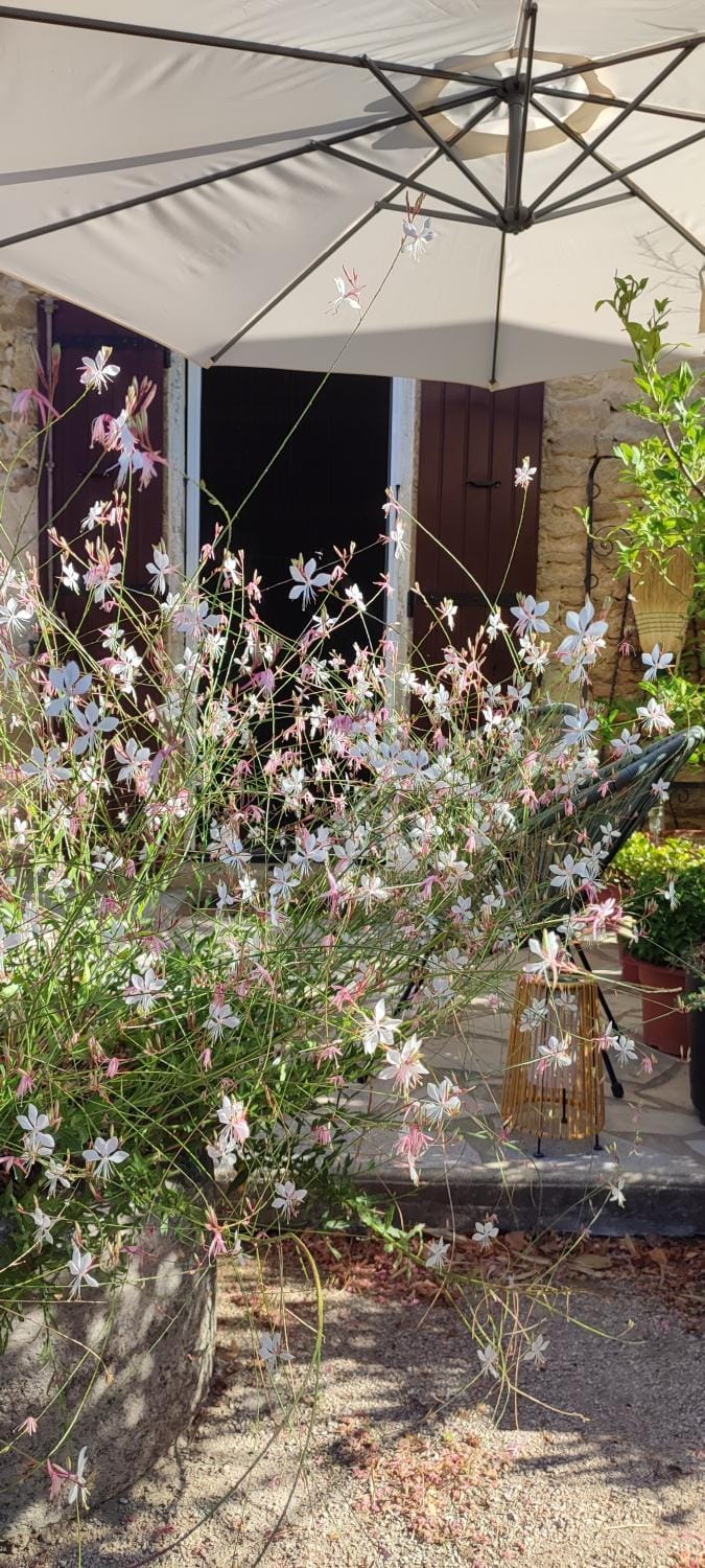 Mas du Vieux Moulin House in Provence-Alpes-Côte d'Azur