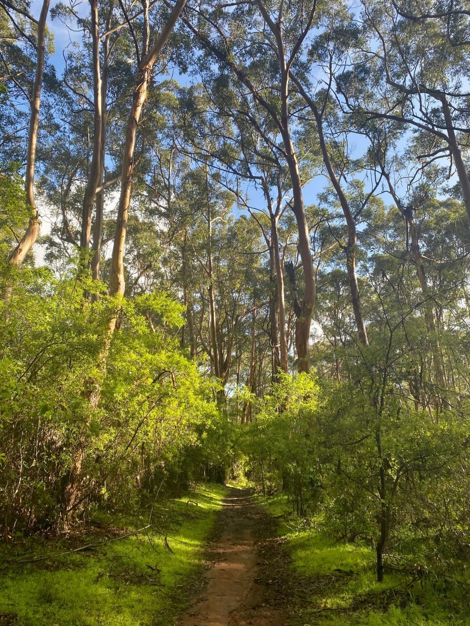 Natural landscape