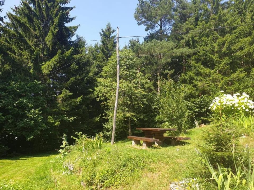 Day, Garden, Garden view