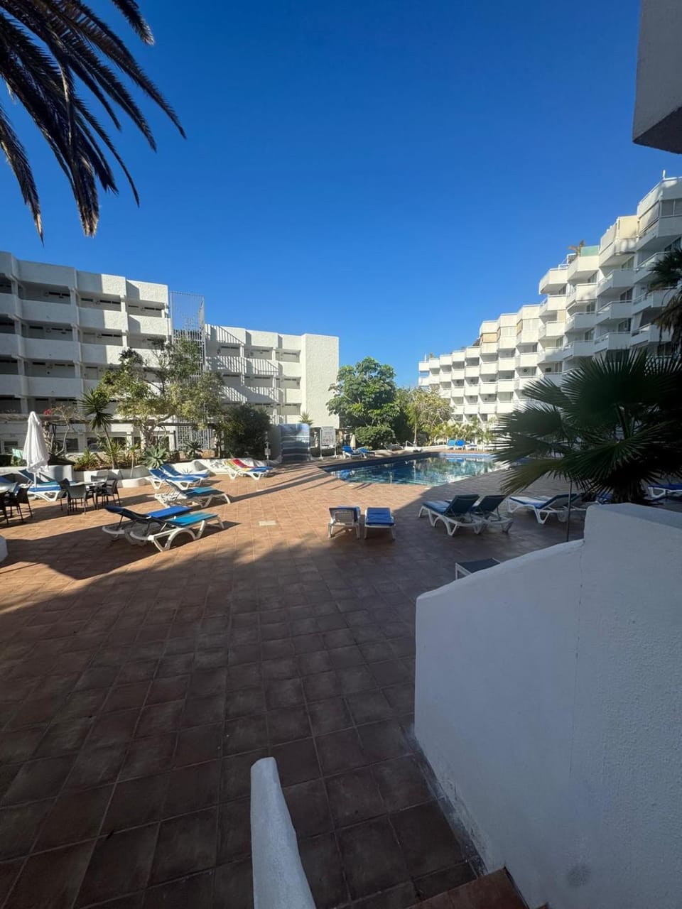 Pool view, sunbed