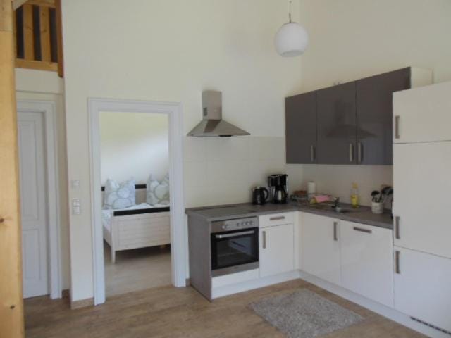 Kitchen or kitchenette, dishwasher, stove, toaster