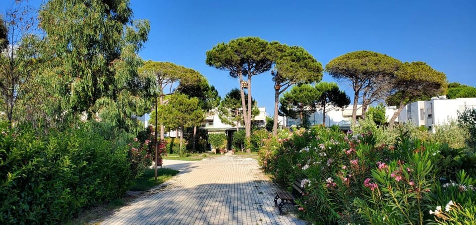 Natural landscape, Area and facilities
