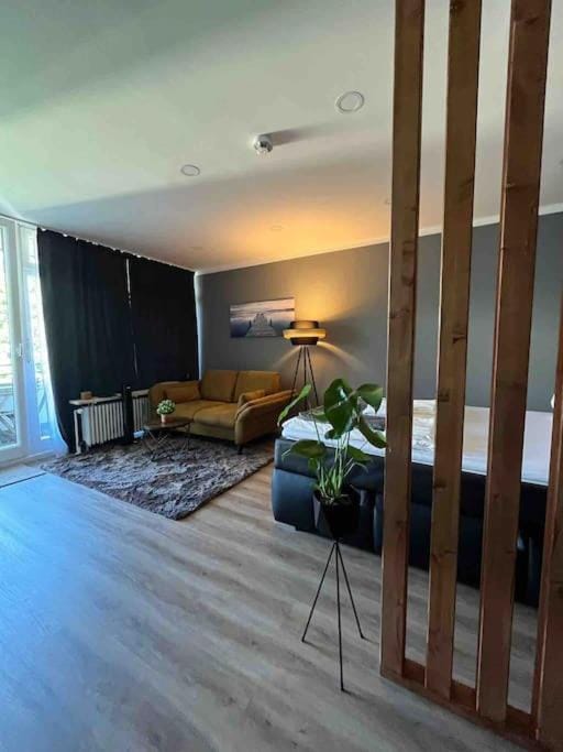 Bed, Living room, Photo of the whole room