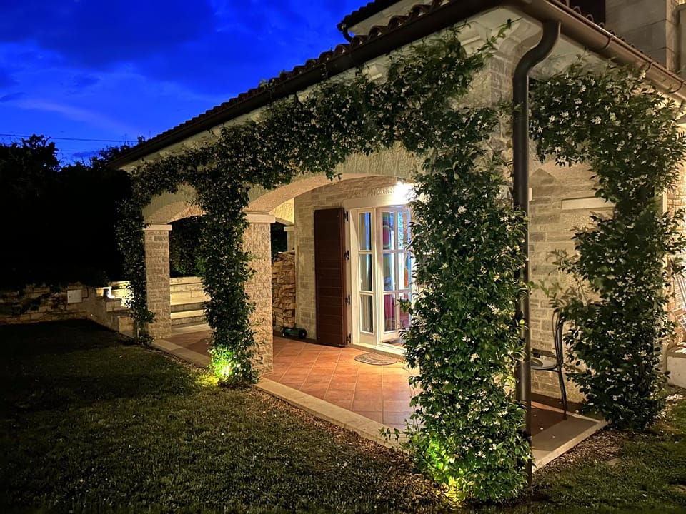 Property building, Night, Garden, Garden