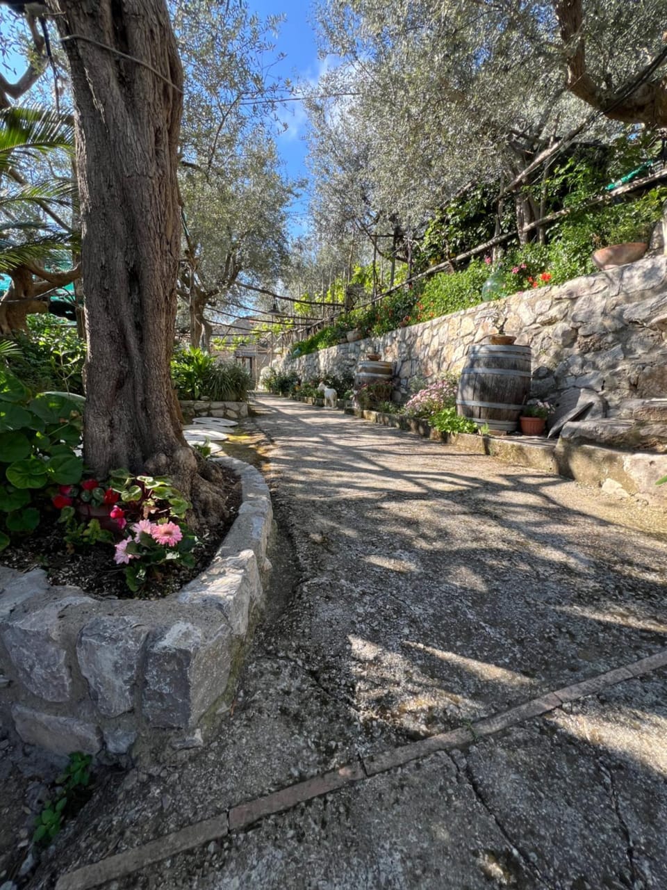 La Petra House in Campania